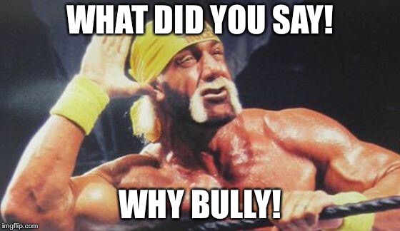 Hulk Hogan Ear | WHAT DID YOU SAY! WHY BULLY! | image tagged in hulk hogan ear | made w/ Imgflip meme maker