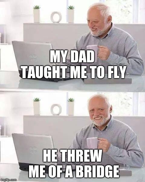 How nice Dad | MY DAD TAUGHT ME TO FLY; HE THREW ME OFF A BRIDGE | image tagged in memes,hide the pain harold | made w/ Imgflip meme maker