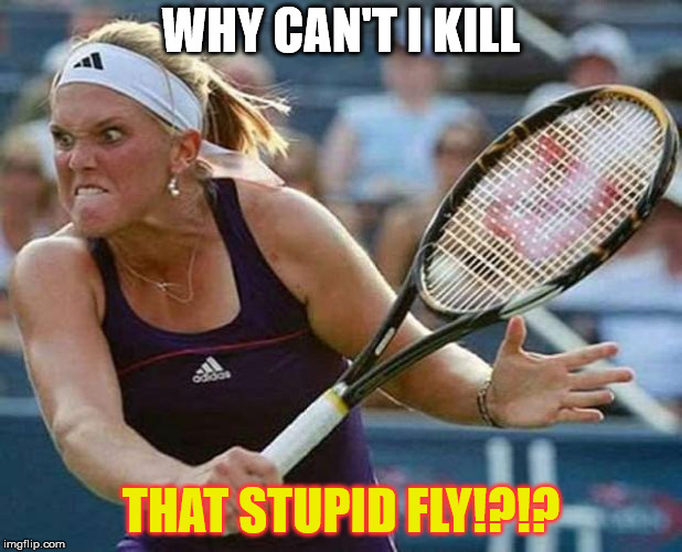 Killing flies with a Tennis Racquet |  WHY CAN'T I KILL; THAT STUPID FLY!?!? | image tagged in murderous tennis player,fly,frustration | made w/ Imgflip meme maker