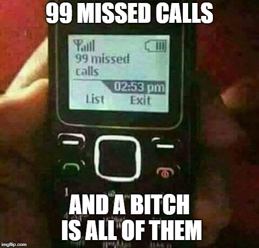 Like Highlander, there can only be one... | 99 MISSED CALLS; AND A BITCH IS ALL OF THEM | image tagged in bitches,crazy | made w/ Imgflip meme maker