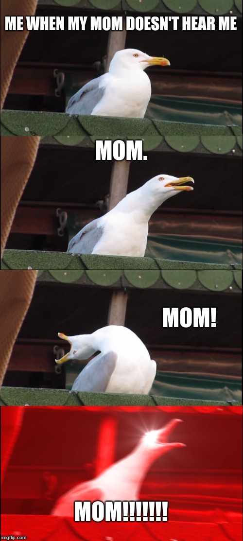 Inhaling Seagull | ME WHEN MY MOM DOESN'T HEAR ME; MOM. MOM! MOM!!!!!!! | image tagged in memes,inhaling seagull | made w/ Imgflip meme maker