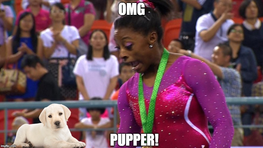 OMG; PUPPER! | image tagged in surprised simone biles | made w/ Imgflip meme maker