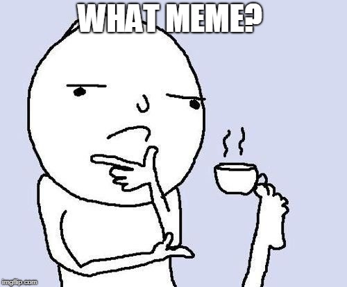 hmm | WHAT MEME? | image tagged in hmm | made w/ Imgflip meme maker