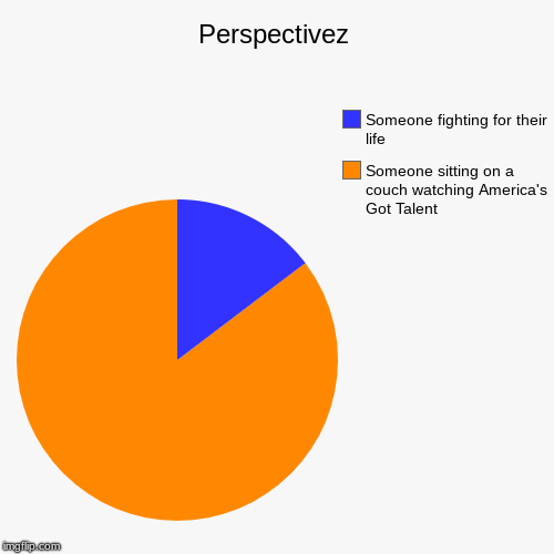 Perspectivez | Someone sitting on a couch watching America's Got Talent, Someone fighting for their life | image tagged in funny,pie charts | made w/ Imgflip chart maker