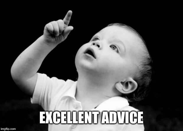 babay pointing up | EXCELLENT ADVICE | image tagged in babay pointing up | made w/ Imgflip meme maker