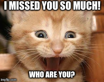 Excited Cat Meme | I MISSED YOU SO MUCH! WHO ARE YOU? | image tagged in memes,excited cat | made w/ Imgflip meme maker