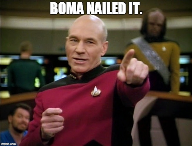 Captain Picard pointing | BOMA NAILED IT. | image tagged in captain picard pointing | made w/ Imgflip meme maker