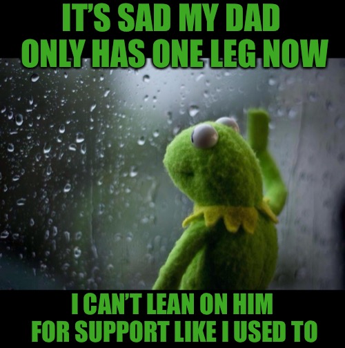 Both literally and figuratively  | IT’S SAD MY DAD ONLY HAS ONE LEG NOW; I CAN’T LEAN ON HIM FOR SUPPORT LIKE I USED TO | image tagged in sad kermit,memes,walking,no more,getting older,sucks | made w/ Imgflip meme maker