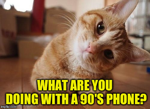 Curious Question Cat | WHAT ARE YOU DOING WITH A 90'S PHONE? | image tagged in curious question cat | made w/ Imgflip meme maker