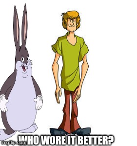 WHO WORE IT BETTER? | image tagged in memes | made w/ Imgflip meme maker