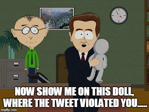 Show me on this doll | NOW SHOW ME ON THIS DOLL, WHERE THE TWEET VIOLATED YOU..... | image tagged in show me on this doll | made w/ Imgflip meme maker