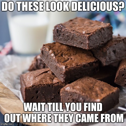 brownies | DO THESE LOOK DELICIOUS? WAIT TILL YOU FIND OUT WHERE THEY CAME FROM | image tagged in brownies | made w/ Imgflip meme maker