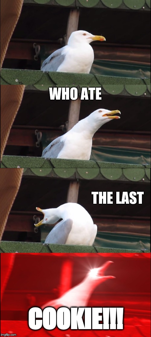 Crumbling Rage | WHO ATE; THE LAST; COOKIE!!! | image tagged in memes,inhaling seagull,cookies | made w/ Imgflip meme maker