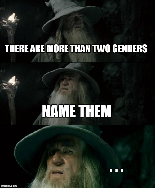 Confused Gandalf | THERE ARE MORE THAN TWO GENDERS; NAME THEM; . . . | image tagged in memes,confused gandalf | made w/ Imgflip meme maker