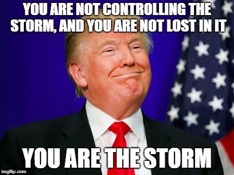 Trump Smile | YOU ARE NOT CONTROLLING THE STORM, AND YOU ARE NOT LOST IN IT; YOU ARE THE STORM | image tagged in trump smile,memes,trump | made w/ Imgflip meme maker