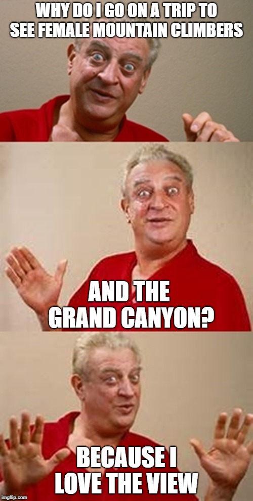 bad pun Dangerfield  | WHY DO I GO ON A TRIP TO SEE FEMALE MOUNTAIN CLIMBERS; AND THE GRAND CANYON? BECAUSE I LOVE THE VIEW | image tagged in bad pun dangerfield,adventure | made w/ Imgflip meme maker