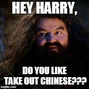 You're a wizard harry | HEY HARRY, DO YOU LIKE TAKE OUT CHINESE??? | image tagged in you're a wizard harry | made w/ Imgflip meme maker