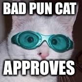 BAD PUN CAT APPROVES | made w/ Imgflip meme maker