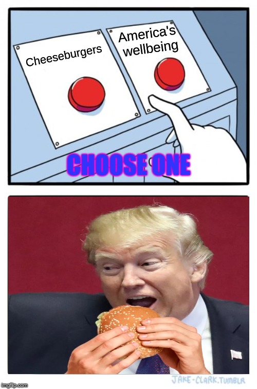 Two Buttons | America's wellbeing; Cheeseburgers; CHOOSE ONE | image tagged in memes,two buttons | made w/ Imgflip meme maker