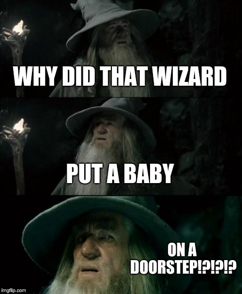 Everyone that has not read harry potter | WHY DID THAT WIZARD; PUT A BABY; ON A DOORSTEP!?!?!? | image tagged in memes,confused gandalf | made w/ Imgflip meme maker