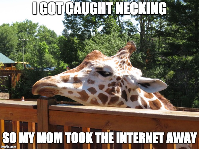 Bored Giraffe | I GOT CAUGHT NECKING; SO MY MOM TOOK THE INTERNET AWAY | image tagged in bored giraffe | made w/ Imgflip meme maker