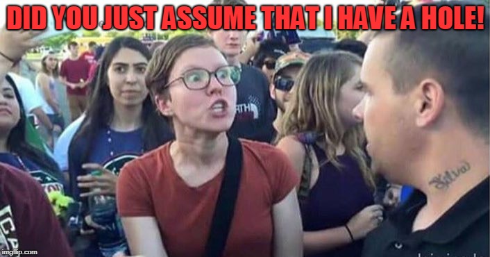 Did you just assume my gender | DID YOU JUST ASSUME THAT I HAVE A HOLE! | image tagged in did you just assume my gender | made w/ Imgflip meme maker