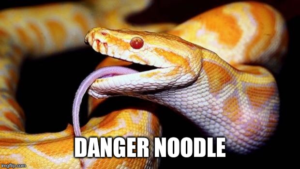 high af snake | DANGER NOODLE | image tagged in high af snake | made w/ Imgflip meme maker