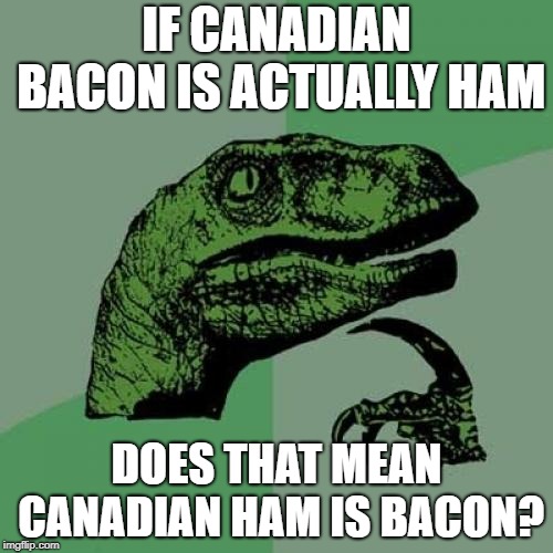 Philosoraptor Meme | IF CANADIAN BACON IS ACTUALLY HAM; DOES THAT MEAN CANADIAN HAM IS BACON? | image tagged in memes,philosoraptor | made w/ Imgflip meme maker
