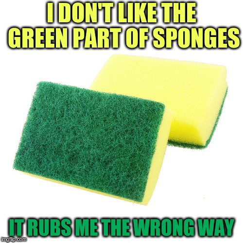 Maybe It Wasn't Designed to Be Used in the Shower... | I DON'T LIKE THE GREEN PART OF SPONGES; IT RUBS ME THE WRONG WAY | image tagged in memes,sponge | made w/ Imgflip meme maker