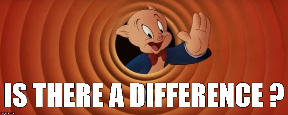 Porky Pig That's All Folks | IS THERE A DIFFERENCE ? | image tagged in porky pig that's all folks | made w/ Imgflip meme maker