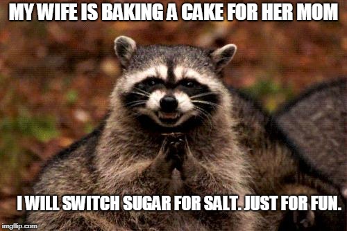 Evil Plotting Raccoon | MY WIFE IS BAKING A CAKE FOR HER MOM; I WILL SWITCH SUGAR FOR SALT. JUST FOR FUN. | image tagged in memes,evil plotting raccoon | made w/ Imgflip meme maker