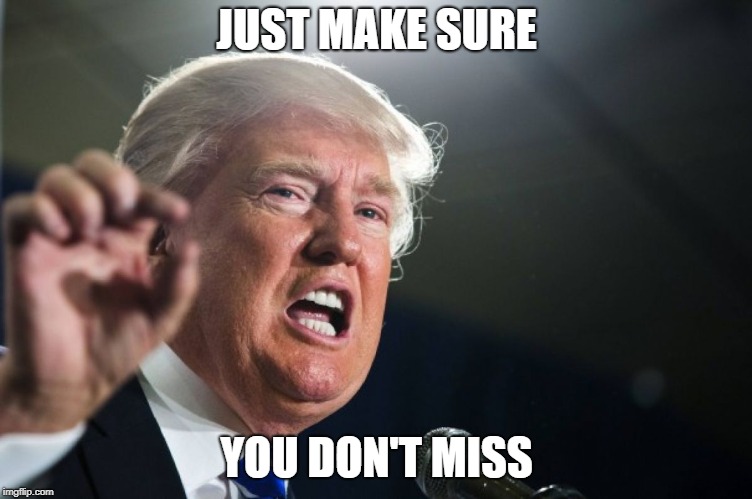 donald trump | JUST MAKE SURE YOU DON'T MISS | image tagged in donald trump | made w/ Imgflip meme maker