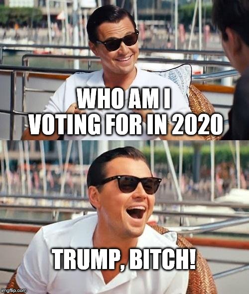 Leonardo Dicaprio Wolf Of Wall Street Meme | WHO AM I VOTING FOR IN 2020; TRUMP, BITCH! | image tagged in memes,leonardo dicaprio wolf of wall street | made w/ Imgflip meme maker
