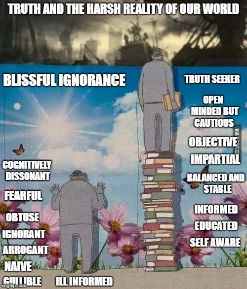 The differences between those who seek truth and knowledge versus those who maintain blissful ignorance. | TRUTH AND THE HARSH REALITY OF OUR WORLD; BLISSFUL IGNORANCE; TRUTH SEEKER; OPEN 
MINDED
BUT CAUTIOUS; OBJECTIVE; IMPARTIAL; COGNITIVELY DISSONANT; BALANCED
AND 
STABLE; FEARFUL; INFORMED; OBTUSE; EDUCATED; IGNORANT; SELF AWARE; ARROGANT; NAIVE; ILL INFORMED; GULLIBLE | image tagged in blissful ignorance,truth seekers,hidden reality,rising above propaganda,aware,woke | made w/ Imgflip meme maker