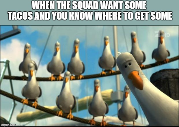 Nemo Seagulls Mine | WHEN THE SQUAD WANT SOME TACOS AND YOU KNOW WHERE TO GET SOME | image tagged in nemo seagulls mine | made w/ Imgflip meme maker