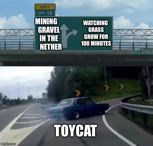 Left Exit 12 Off Ramp | WATCHING GRASS GROW FOR 100 MINUTES; MINING    GRAVEL    IN THE       NETHER; TOYCAT | image tagged in memes,left exit 12 off ramp | made w/ Imgflip meme maker