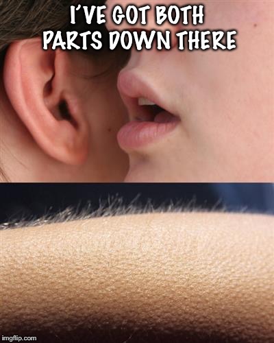 Whisper goose bumps | I’VE GOT BOTH PARTS DOWN THERE | image tagged in whisper goose bumps | made w/ Imgflip meme maker