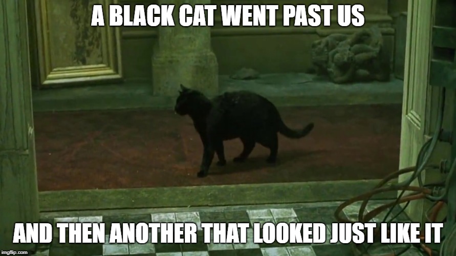 deja vu | A BLACK CAT WENT PAST US; AND THEN ANOTHER THAT LOOKED JUST LIKE IT | image tagged in matrix,neo,deja vu | made w/ Imgflip meme maker