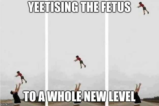 I was watching Sssniperwolf and this was just my favorite quote from her videos lol | YEETISING THE FETUS; TO A WHOLE NEW LEVEL | image tagged in throwing baby,funny memes | made w/ Imgflip meme maker