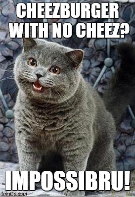 I can has cheezburger cat | CHEEZBURGER WITH NO CHEEZ? IMPOSSIBRU! | image tagged in i can has cheezburger cat | made w/ Imgflip meme maker