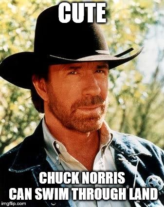 Chuck Norris Meme | CUTE CHUCK NORRIS CAN SWIM THROUGH LAND | image tagged in memes,chuck norris | made w/ Imgflip meme maker