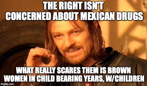 One Does Not Simply Meme | THE RIGHT ISN'T CONCERNED ABOUT MEXICAN DRUGS; WHAT REALLY SCARES THEM IS BROWN WOMEN IN CHILD BEARING YEARS, W/CHILDREN | image tagged in memes,one does not simply | made w/ Imgflip meme maker