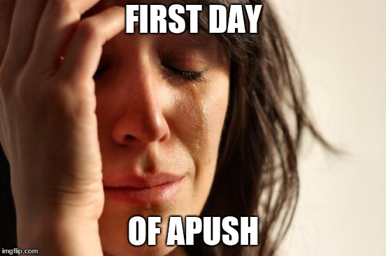 First World Problems | FIRST DAY; OF APUSH | image tagged in memes,first world problems | made w/ Imgflip meme maker