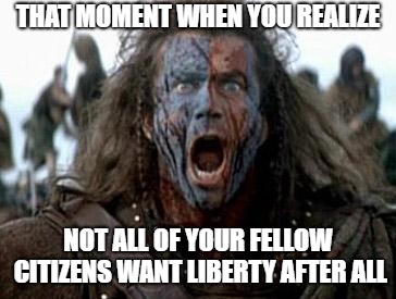 Braveheart | THAT MOMENT WHEN YOU REALIZE; NOT ALL OF YOUR FELLOW CITIZENS WANT LIBERTY AFTER ALL | image tagged in braveheart | made w/ Imgflip meme maker