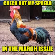Cock Rooster | CHECK OUT MY SPREAD IN THE MARCH ISSUE | image tagged in cock rooster | made w/ Imgflip meme maker
