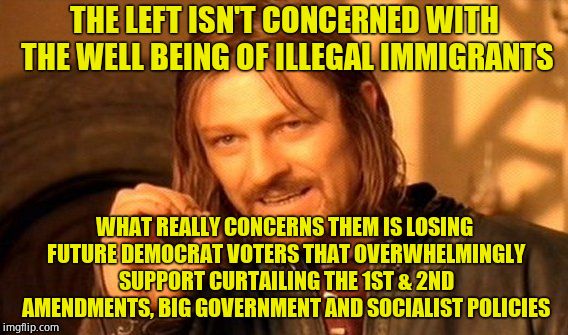 One Does Not Simply Meme | THE LEFT ISN'T CONCERNED WITH THE WELL BEING OF ILLEGAL IMMIGRANTS WHAT REALLY CONCERNS THEM IS LOSING FUTURE DEMOCRAT VOTERS THAT OVERWHELM | image tagged in memes,one does not simply | made w/ Imgflip meme maker
