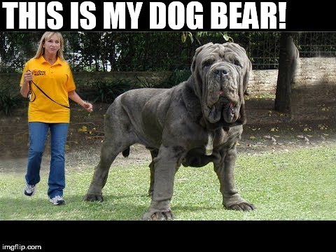 THIS IS MY DOG BEAR! | made w/ Imgflip meme maker