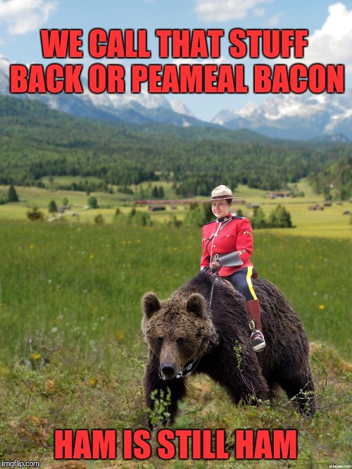 Canada | WE CALL THAT STUFF BACK OR PEAMEAL BACON HAM IS STILL HAM | image tagged in canada | made w/ Imgflip meme maker