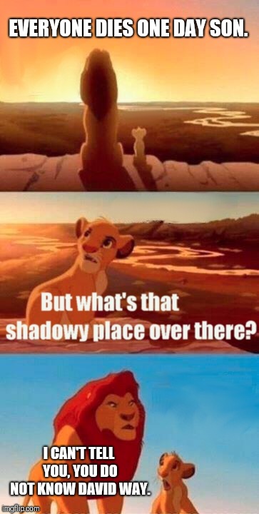 Simba Shadowy Place Meme | EVERYONE DIES ONE DAY SON. I CAN'T TELL YOU, YOU DO NOT KNOW DAVID WAY. | image tagged in memes,simba shadowy place | made w/ Imgflip meme maker