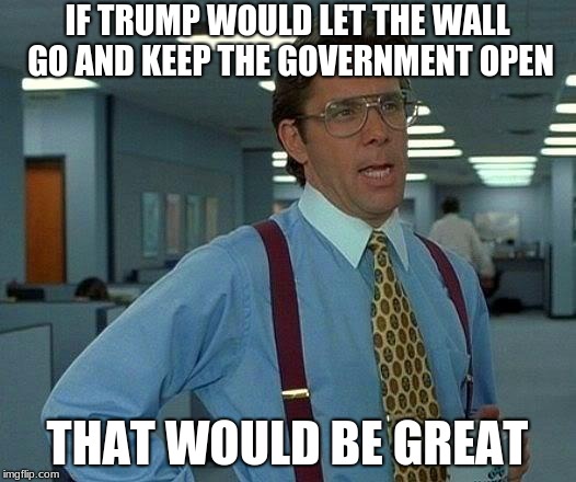 That Would Be Great | IF TRUMP WOULD LET THE WALL GO AND KEEP THE GOVERNMENT OPEN; THAT WOULD BE GREAT | image tagged in memes,that would be great | made w/ Imgflip meme maker